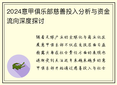 2024意甲俱乐部慈善投入分析与资金流向深度探讨